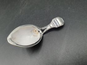 A George III silver mounted cowrie shell Caddy Spoon, fiddle and thread pattern, unmarked