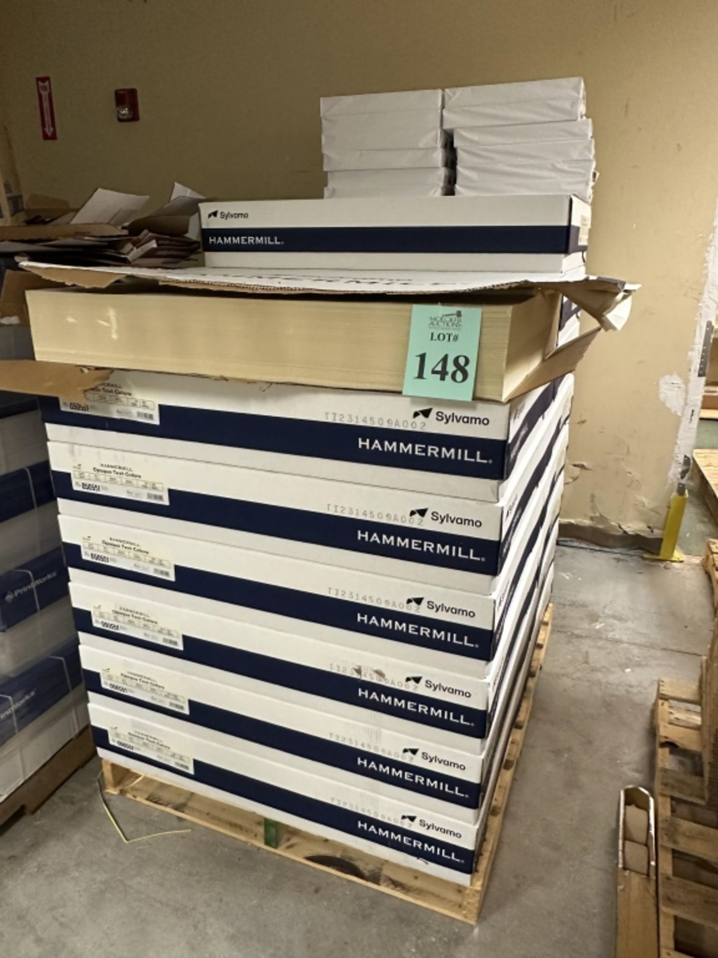 CASES OF HAMMERMILL 25"X38" OPAQUE TEXT COLORS PAPER