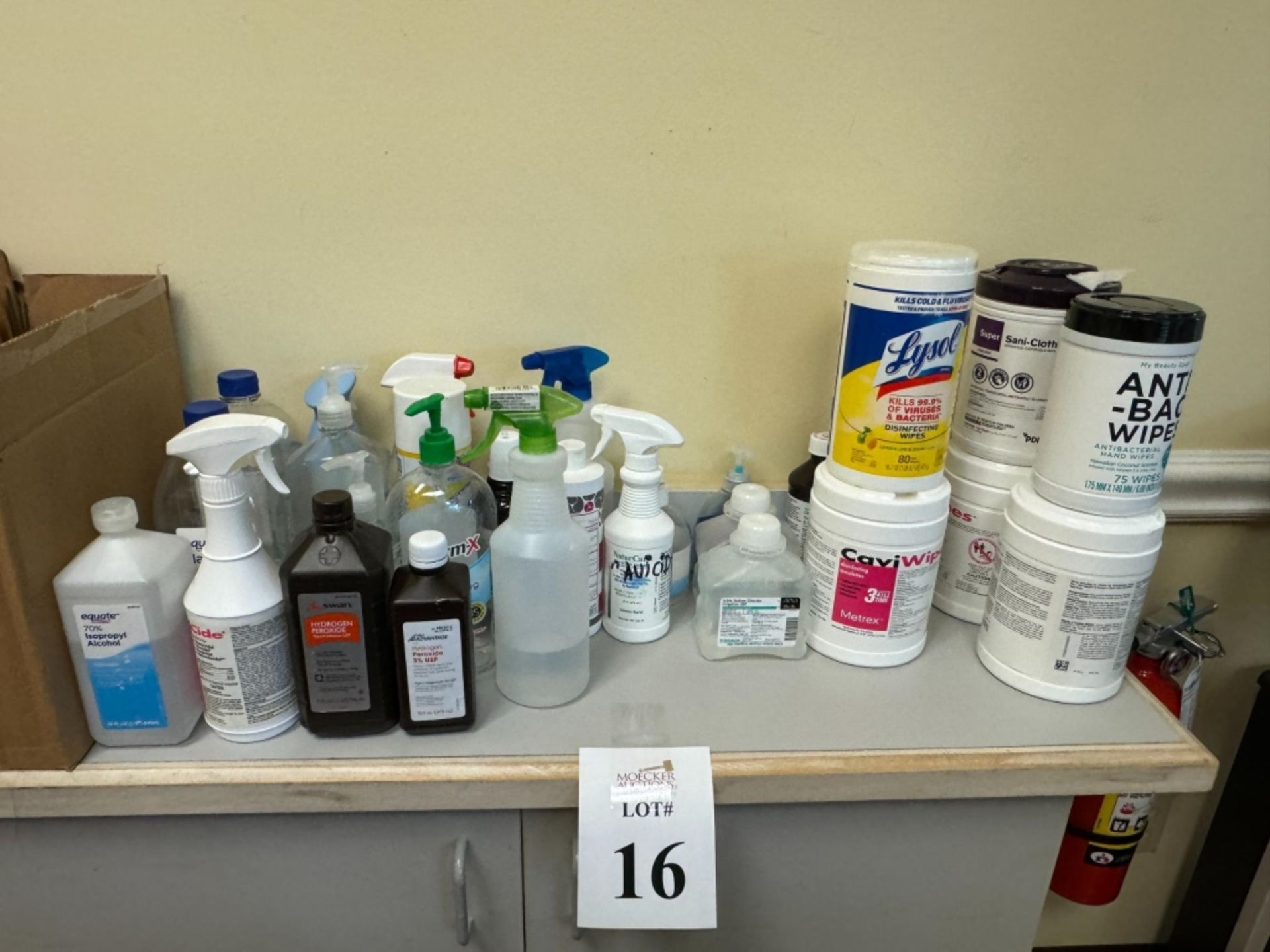 LOT CONSISTING OF ASSORTED DISINFECTING SUPPLIES