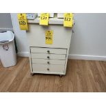 LOT CONSISTING OF ROLLING SUPPLY CABINET
