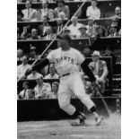 Willie Mays Photo Print