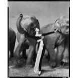 Richard Avedon (1923-2004) Dovima with Elephants