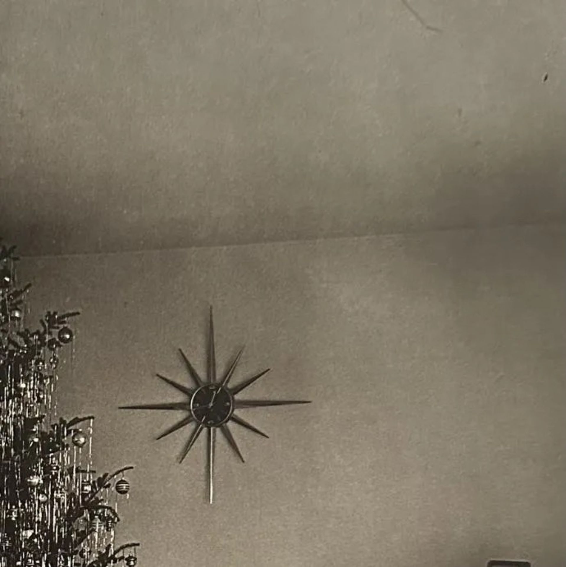 Diane Arbus "Xmas tree in a living room in Levittown, L.I. 1963" Print.
 - Bild 3 aus 6