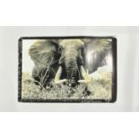 Peter Beard "African Elephant" Photo Print