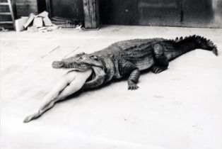 Helmut Newton "Crocodile Eating Ballerina" Print