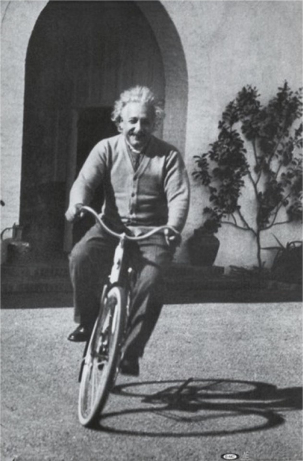 Albert Einstein "On Bicycle" Print
