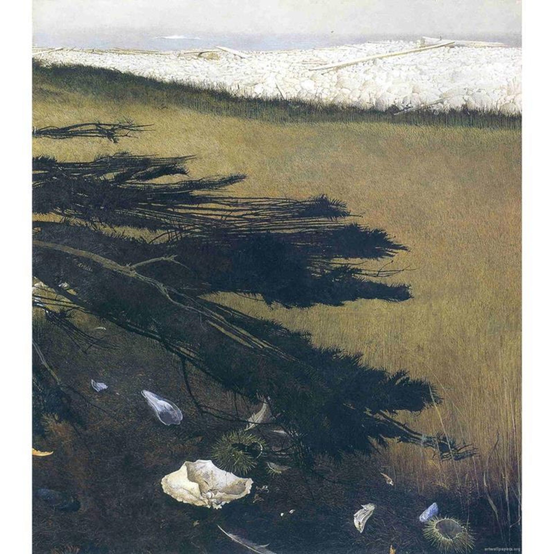 Andrew Wyeth "Ravens Grove, 1985" Offset Lithograph