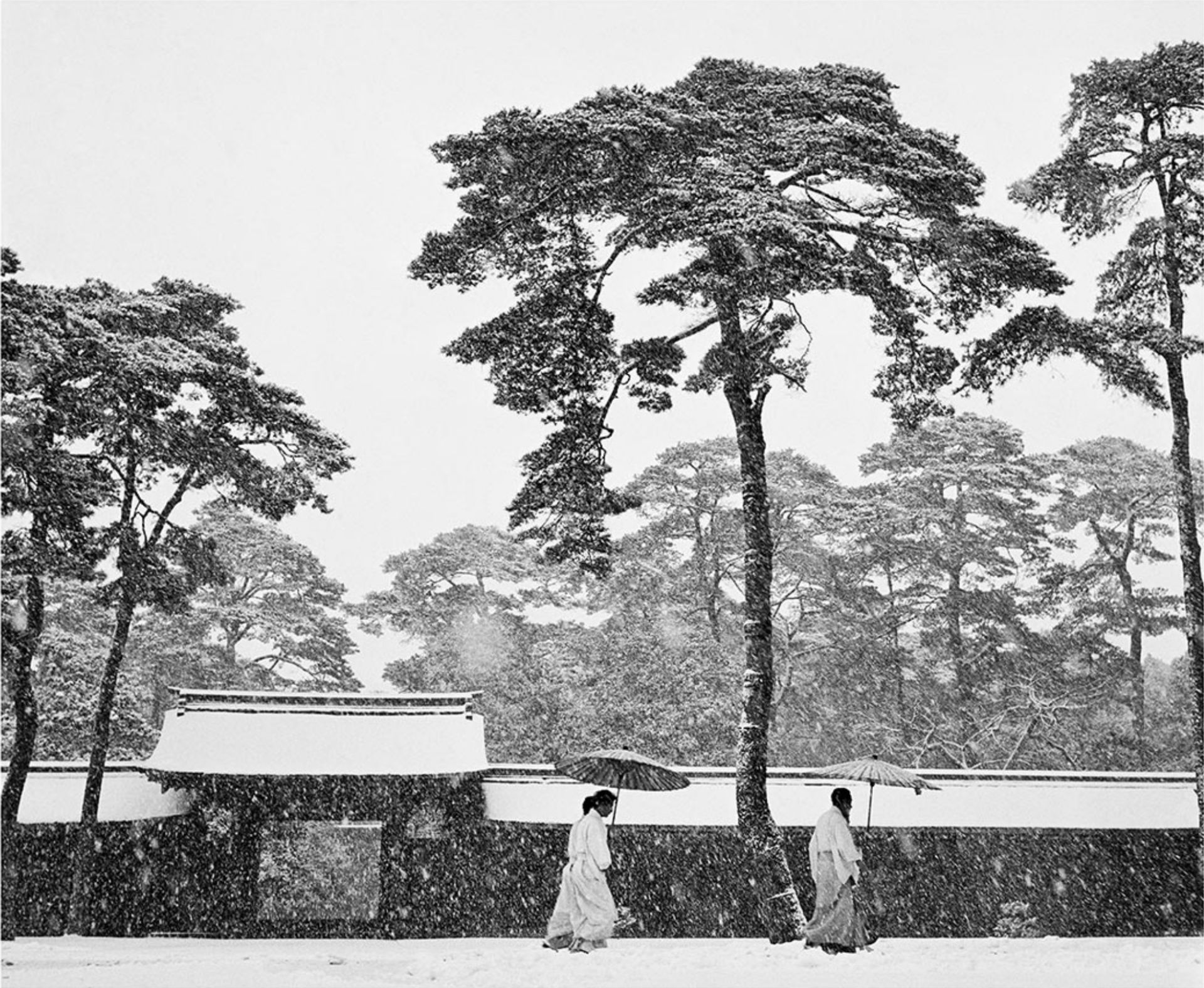 Werner Bischof "Courtyard of the Meiji Shrine, Tokyo, Japan, 1951" Photo Print