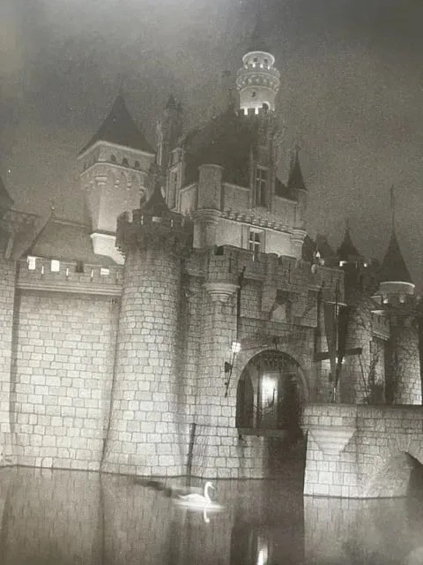 Diane Arbus "A castle in Disneyland" Print - Bild 3 aus 6