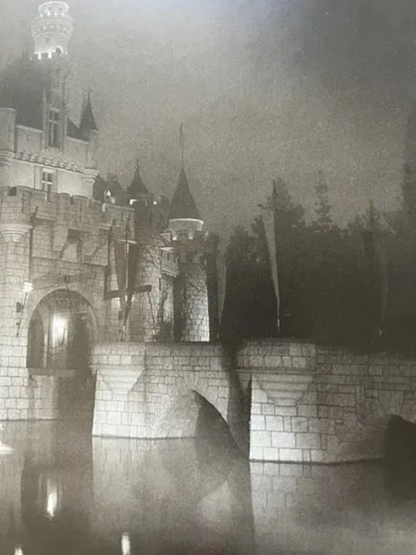 Diane Arbus "A castle in Disneyland" Print - Bild 5 aus 6