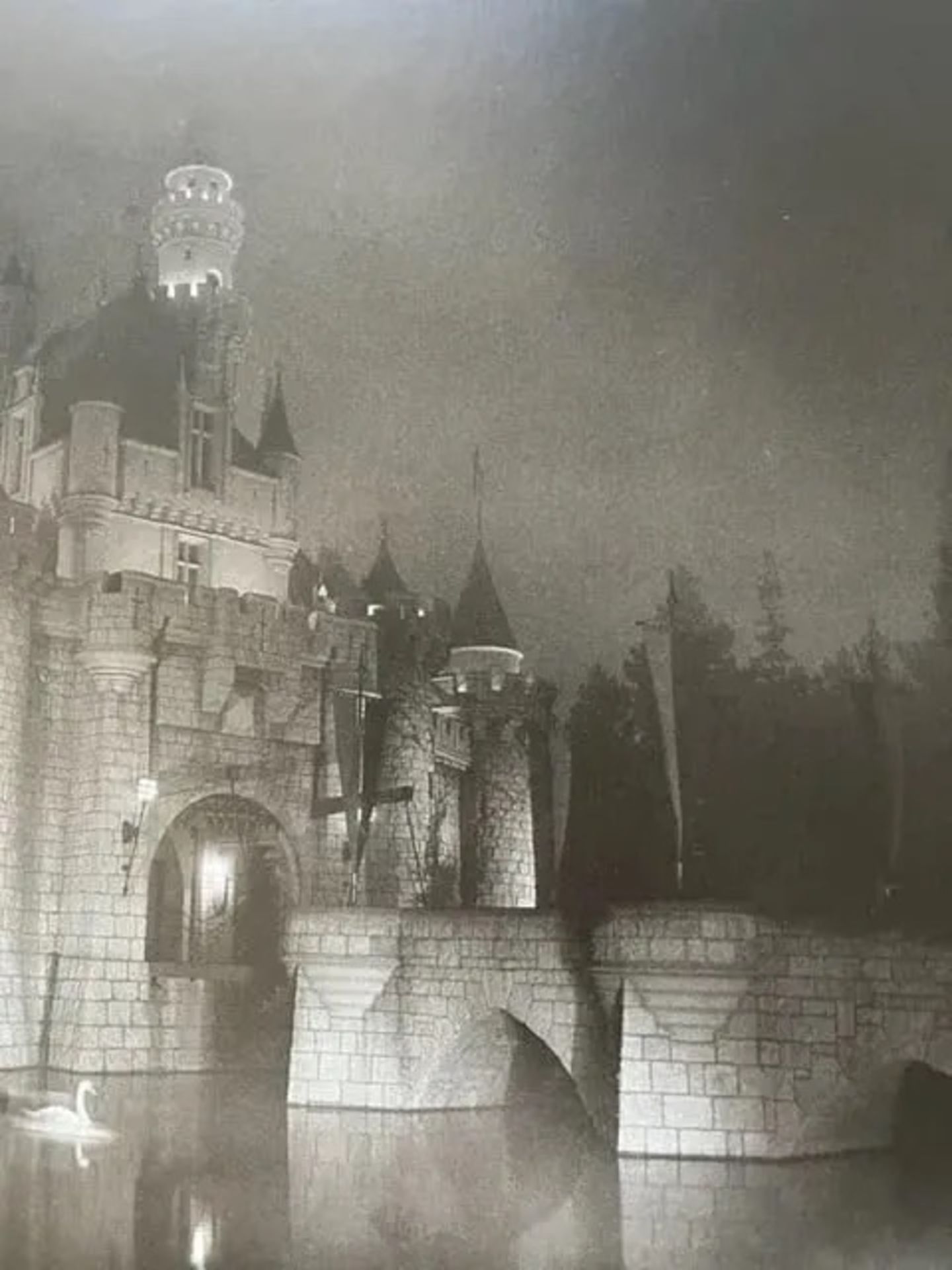 Diane Arbus "A castle in Disneyland" Print - Bild 2 aus 6