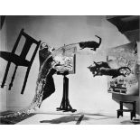 Philippe Halsman "Dali Atomicus, 1948" Photo Print