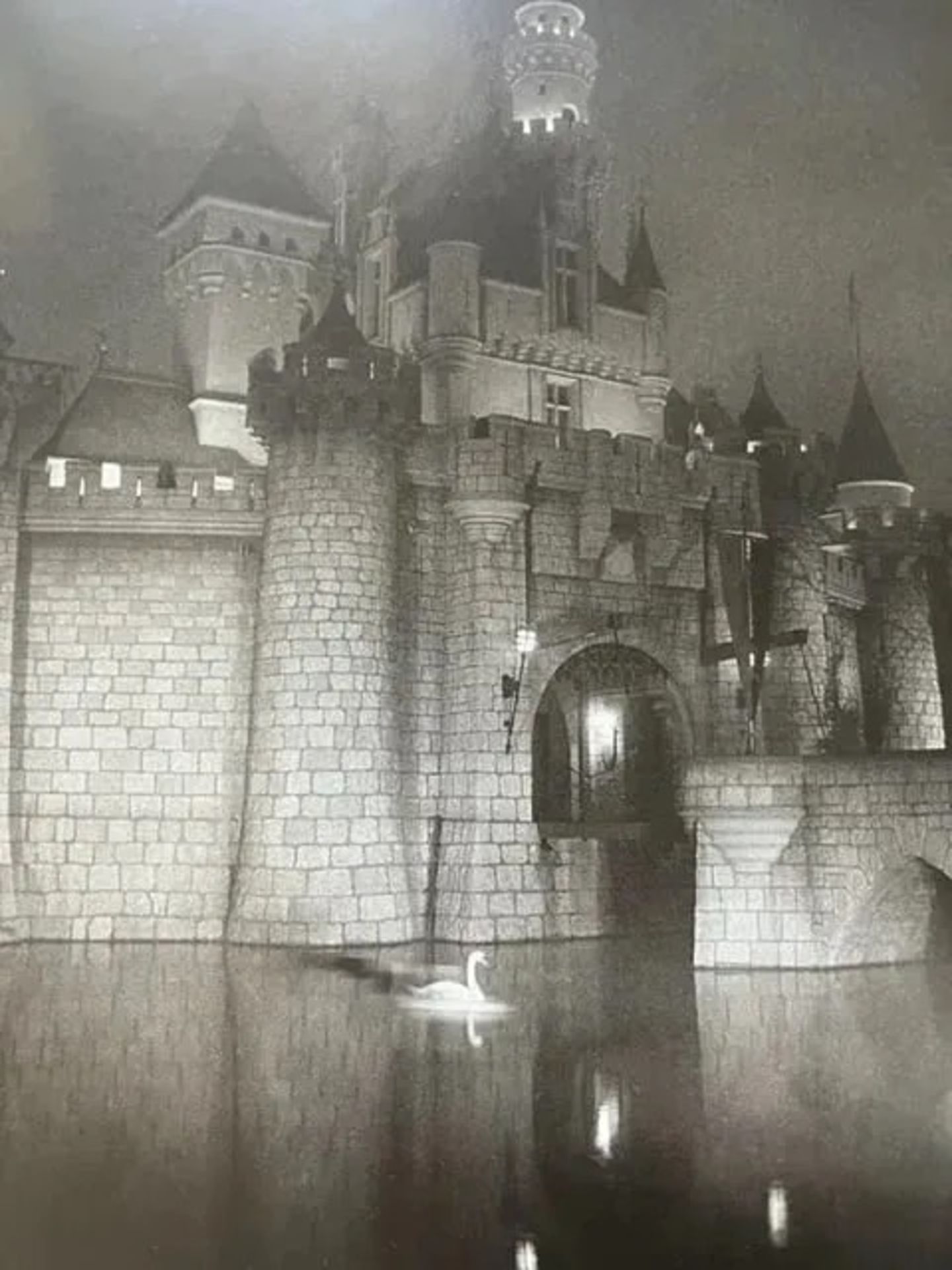 Diane Arbus "A castle in Disneyland" Print - Bild 4 aus 6