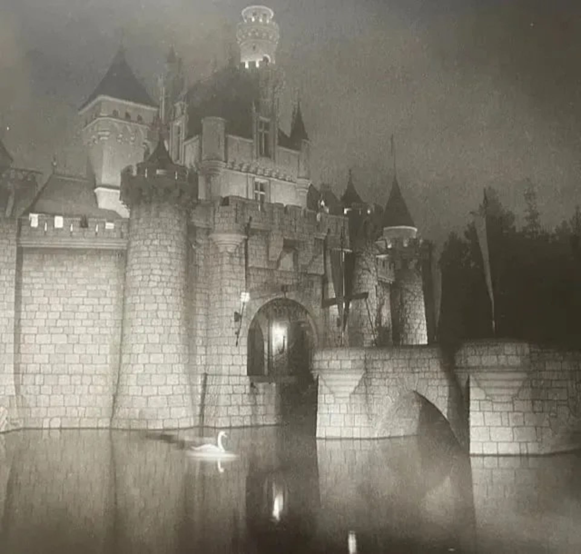 Diane Arbus "A castle in Disneyland" Print
