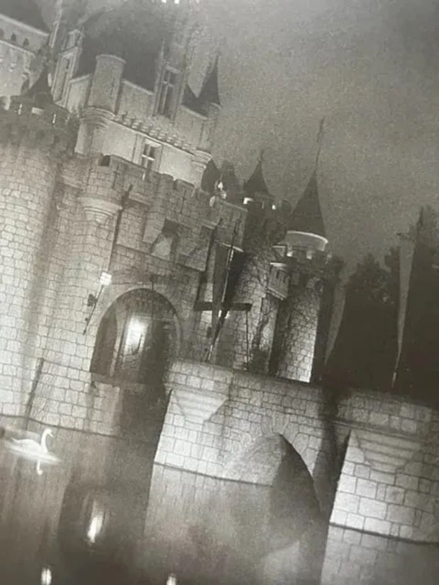 Diane Arbus "A castle in Disneyland" Print - Bild 6 aus 6