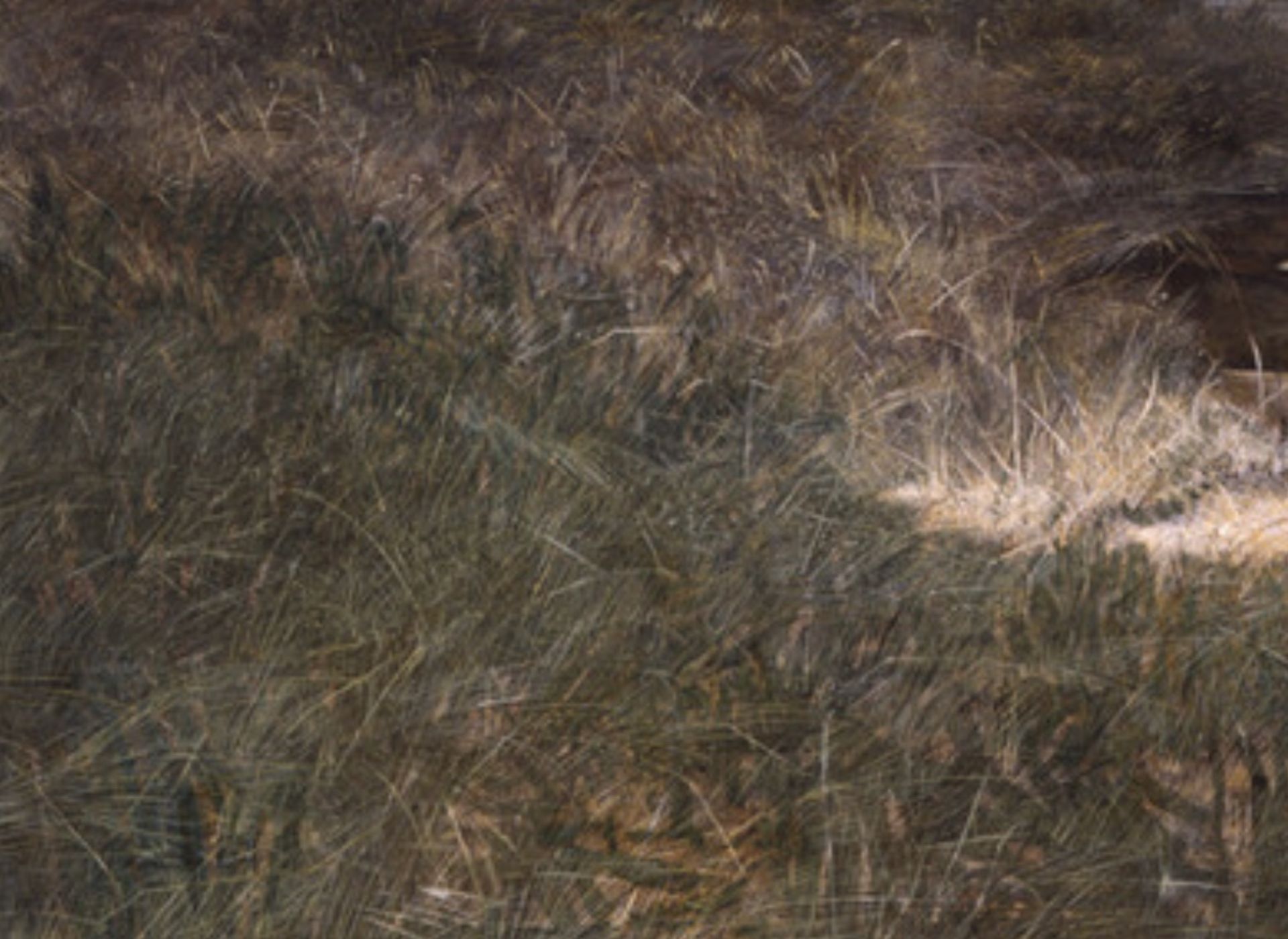 Andrew Wyeth "McVeys Barn, 1948" Offset Lithograph - Bild 3 aus 5