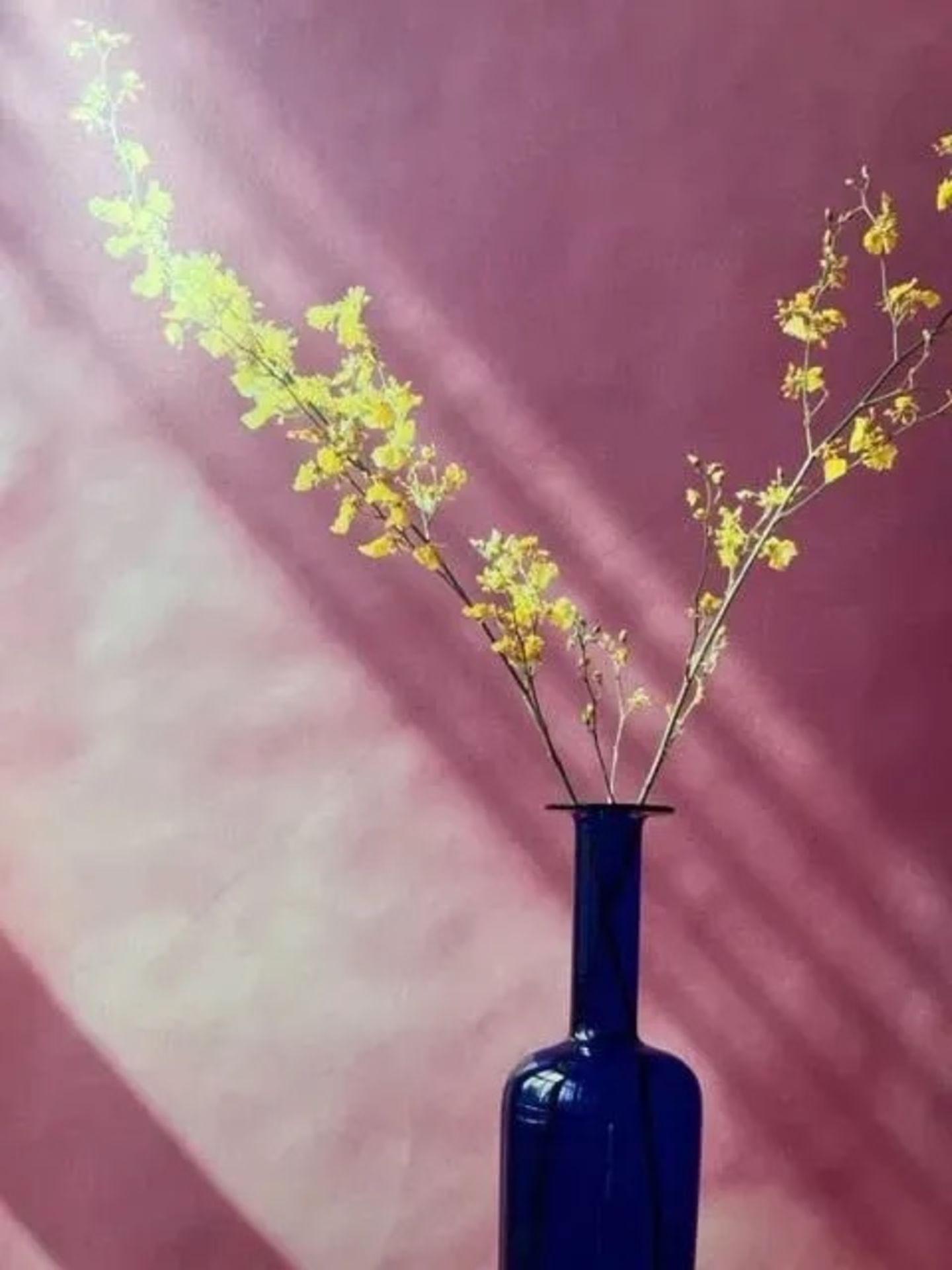 Robert Mapplethorpe "Flowers in Vase" Print - Bild 3 aus 6