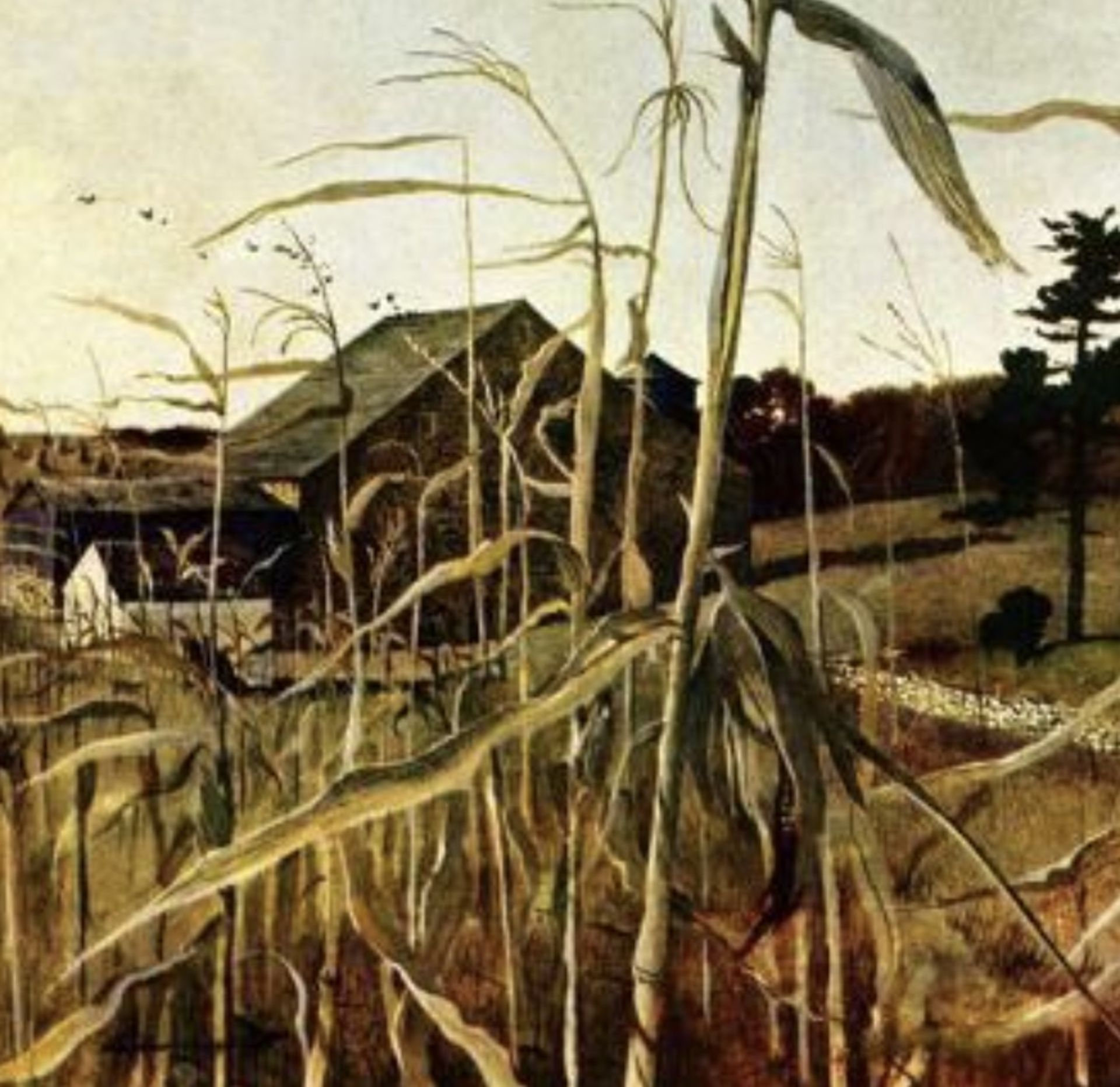 Andrew Wyeth "Autumn Cornfield, 1950" Print - Bild 4 aus 4