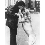 Sylvester Stallone Photo with Dog