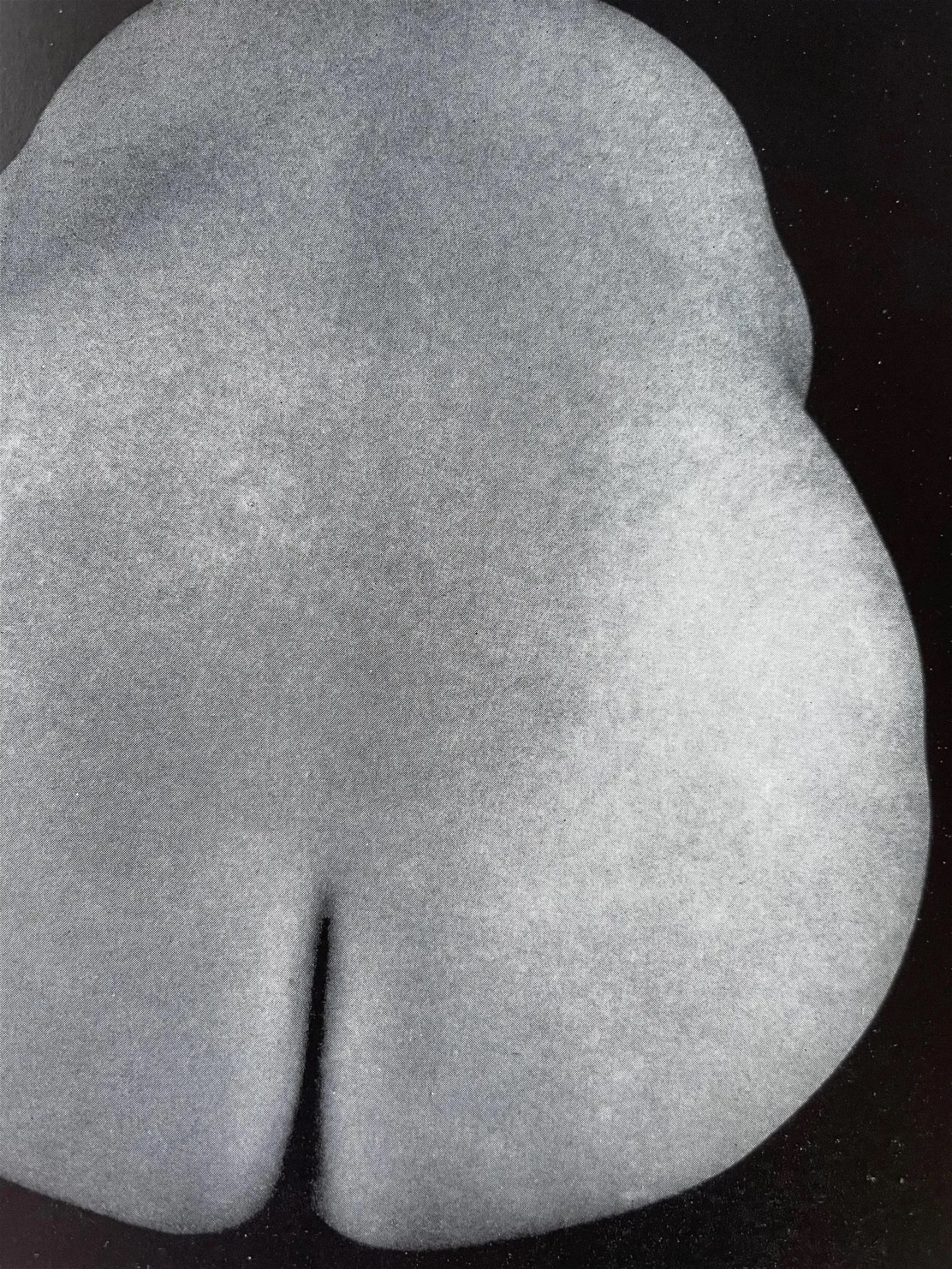 Edward Weston "Nude, Mexico, 1925" Print - Bild 2 aus 6