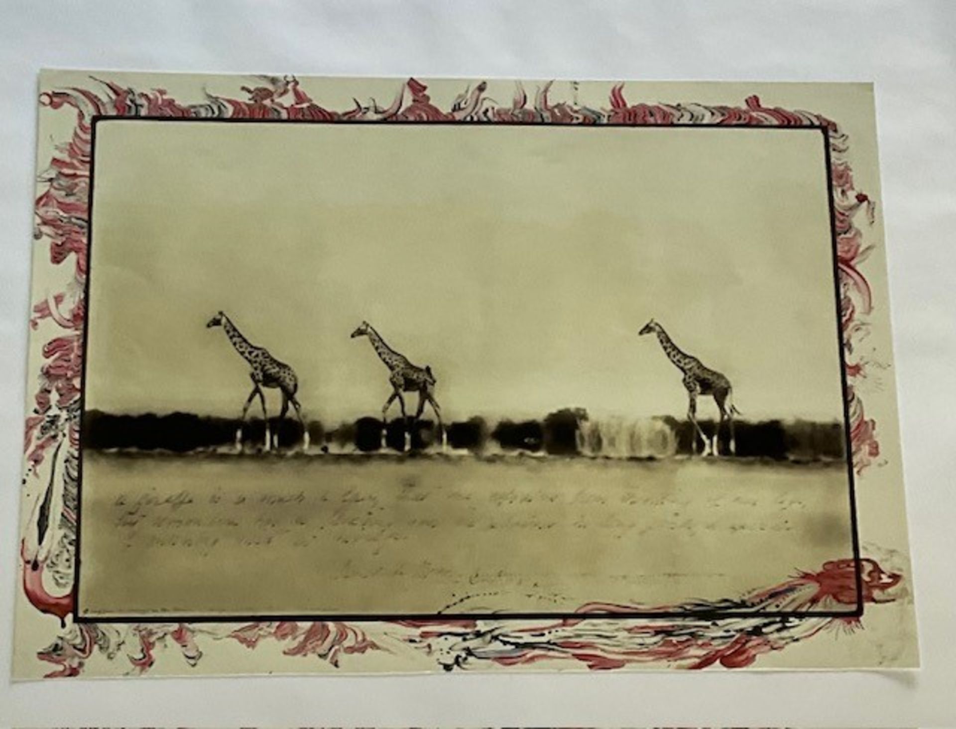 PETER BEARD "GIRAFFES" GLOSSY PHOTO PRINT