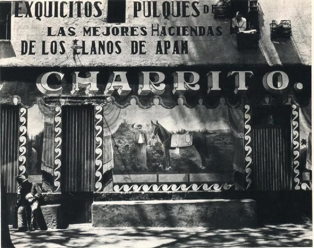 Edward Weston - Charrito