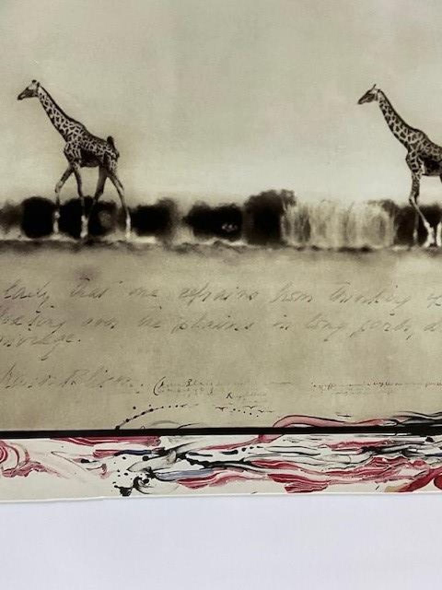 PETER BEARD "GIRAFFES" GLOSSY PHOTO PRINT - Bild 7 aus 9