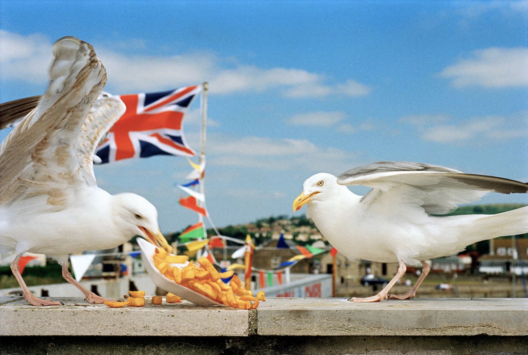 Martin Parr "West Bay, England, 1996" Photo Print