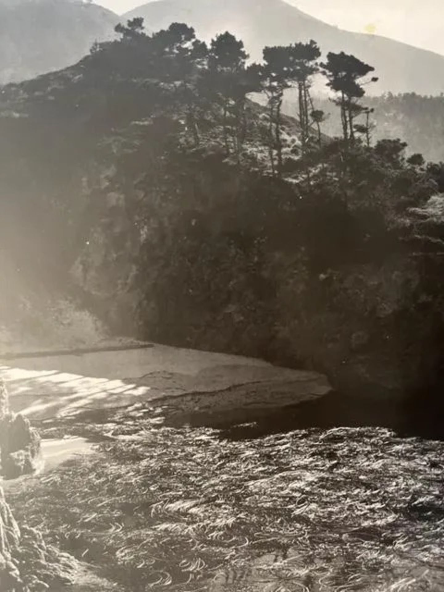 Edward Weston "Hawaii" Print - Bild 3 aus 6