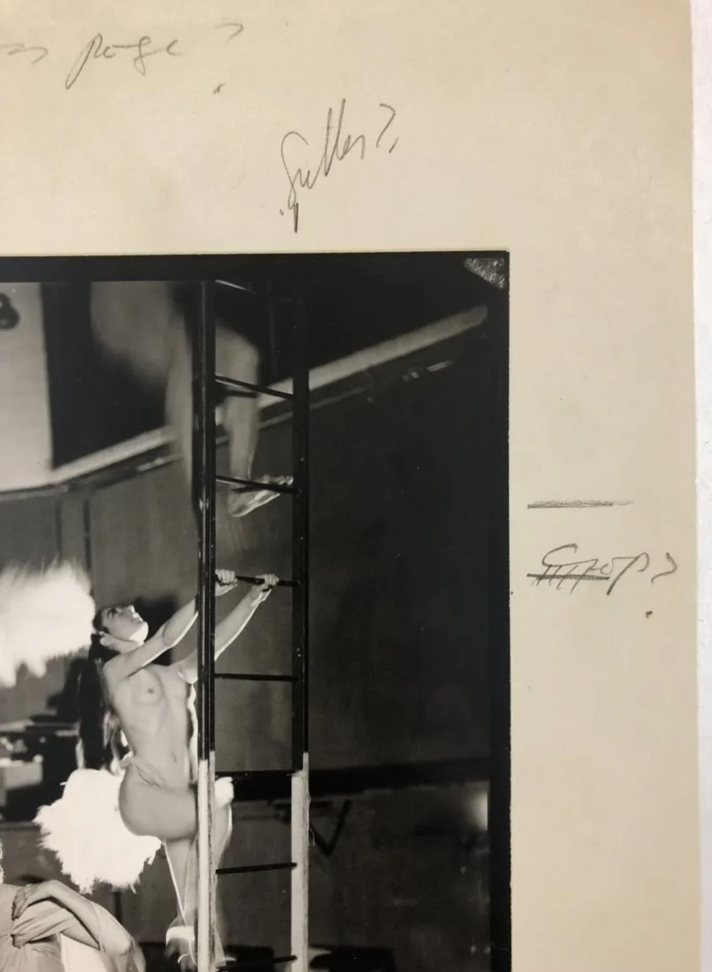Richard Avedon - Suzy Parker and Robin Tattersall, 1957 - Bild 4 aus 4