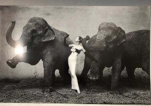 Richard Avedon-Dovima, Elephants, Paris Photograph