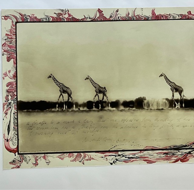 PETER BEARD "GIRAFFES" GLOSSY PHOTO PRINT - Image 3 of 9