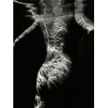 Brett Weston "Underwater Nude, 1979" Photo Print