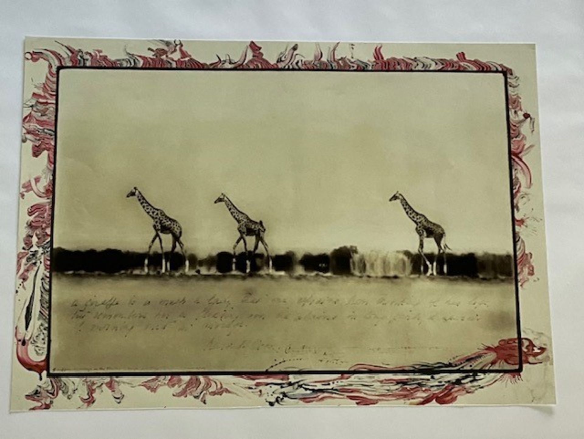 PETER BEARD "GIRAFFES" GLOSSY PHOTO PRINT - Bild 2 aus 9