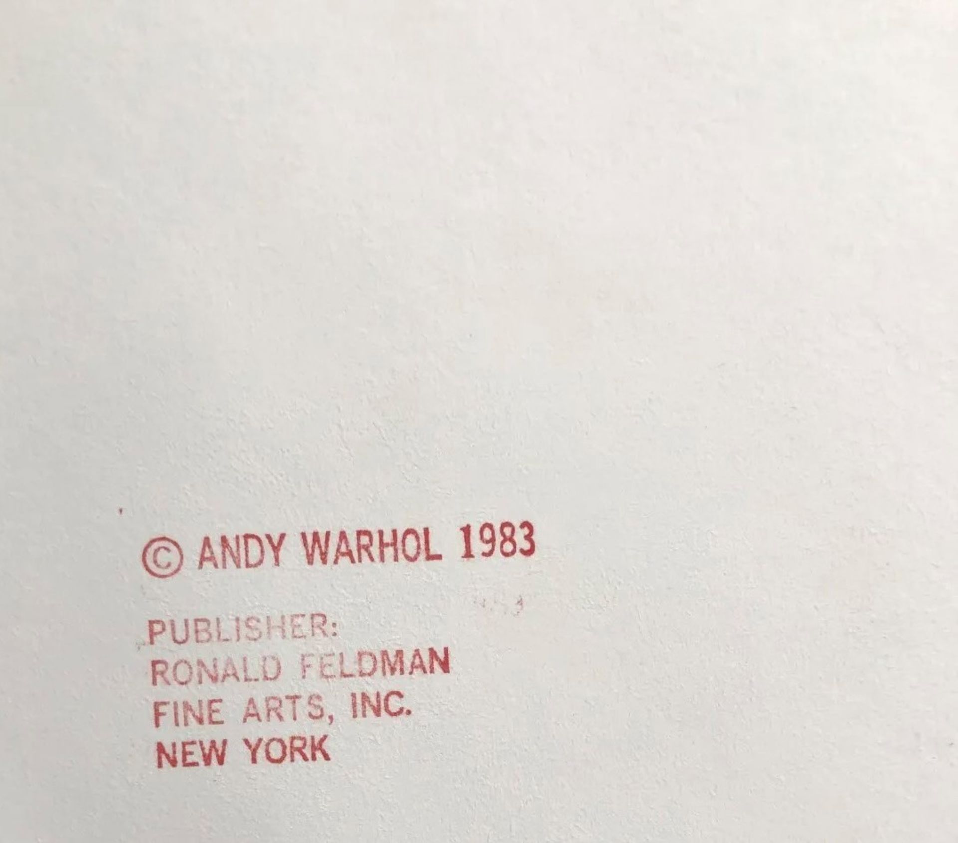 After Andy Warhol Giant Panda Screenprint (w/blindstamp) - Bild 9 aus 9