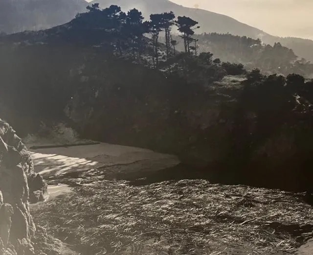 Edward Weston "Hawaii" Print