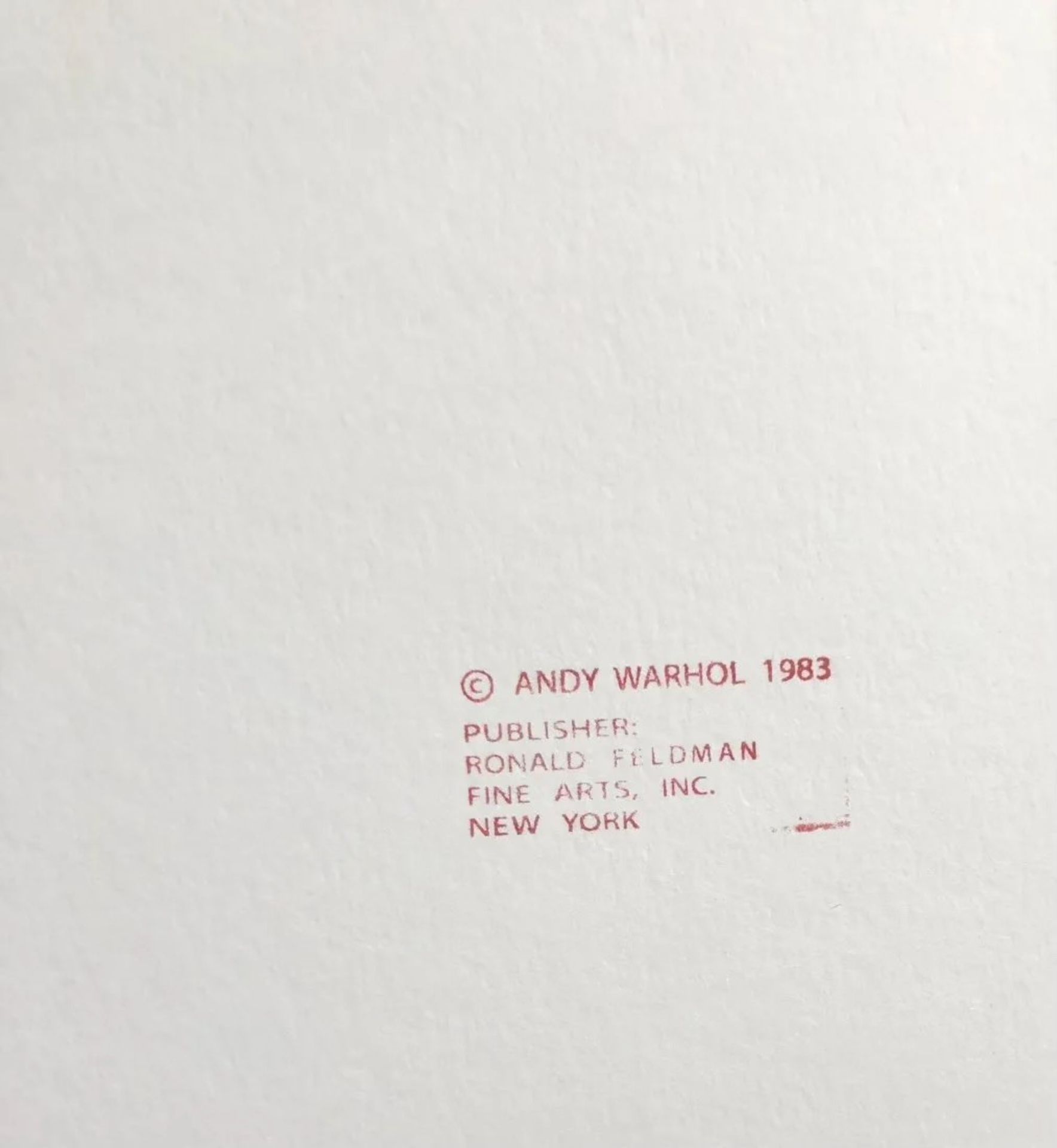 After Andy Warhol Orangutan Screenprint (w/blindstamp) - Bild 8 aus 9