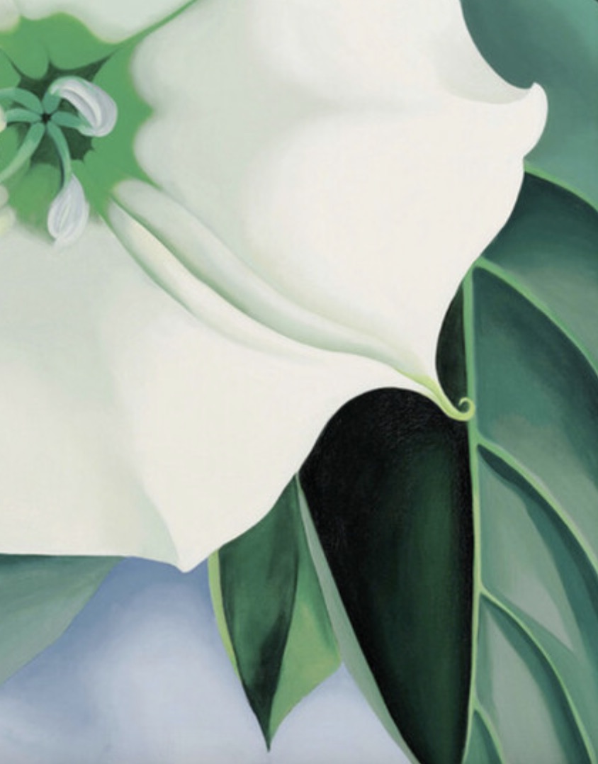 Georgia Okeeffe "Jimson Weed, 1932" Offset Lithograph - Image 5 of 5