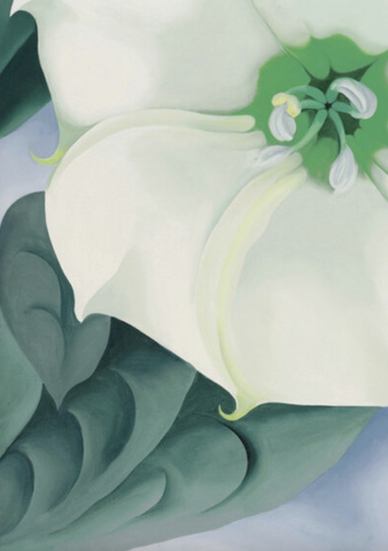 Georgia Okeeffe "Jimson Weed, 1932" Offset Lithograph - Image 4 of 5