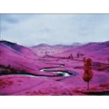 Richard Mosse "The Enclave" Photo Print