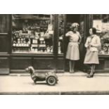 Robert Doisneau: Dog on Wheels