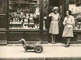 Robert Doisneau: Dog on Wheels