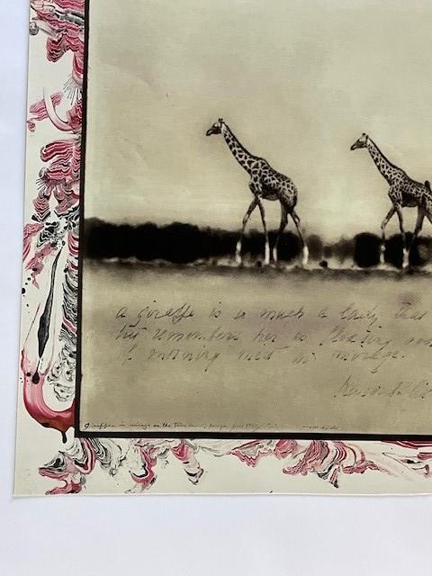 PETER BEARD "GIRAFFES" GLOSSY PHOTO PRINT - Image 6 of 9