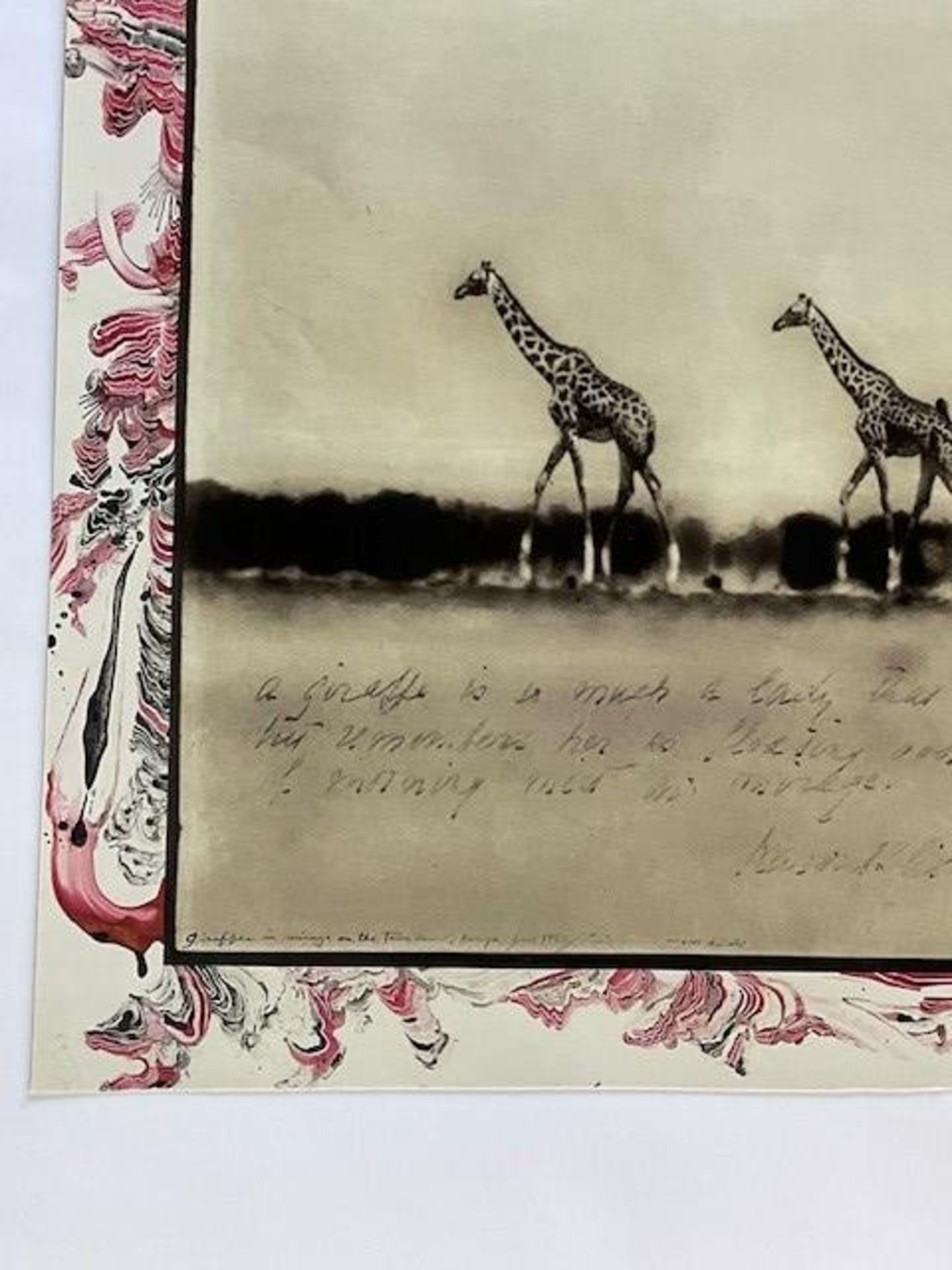 PETER BEARD "GIRAFFES" GLOSSY PHOTO PRINT - Bild 6 aus 9