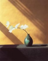 Robert Mapplethorpe "White Longstem Flower, 1982" Print