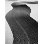 Margaret Bourke White "Dust Bowl, Deep Furrows Made by Farmers" Photo Print
