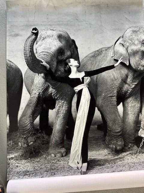 RICHARD AVEDON DOVIMA WITH ELEPHANTS - Image 3 of 4