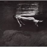 TONI FRISSELL- Weeki Wachee Spring, Florida