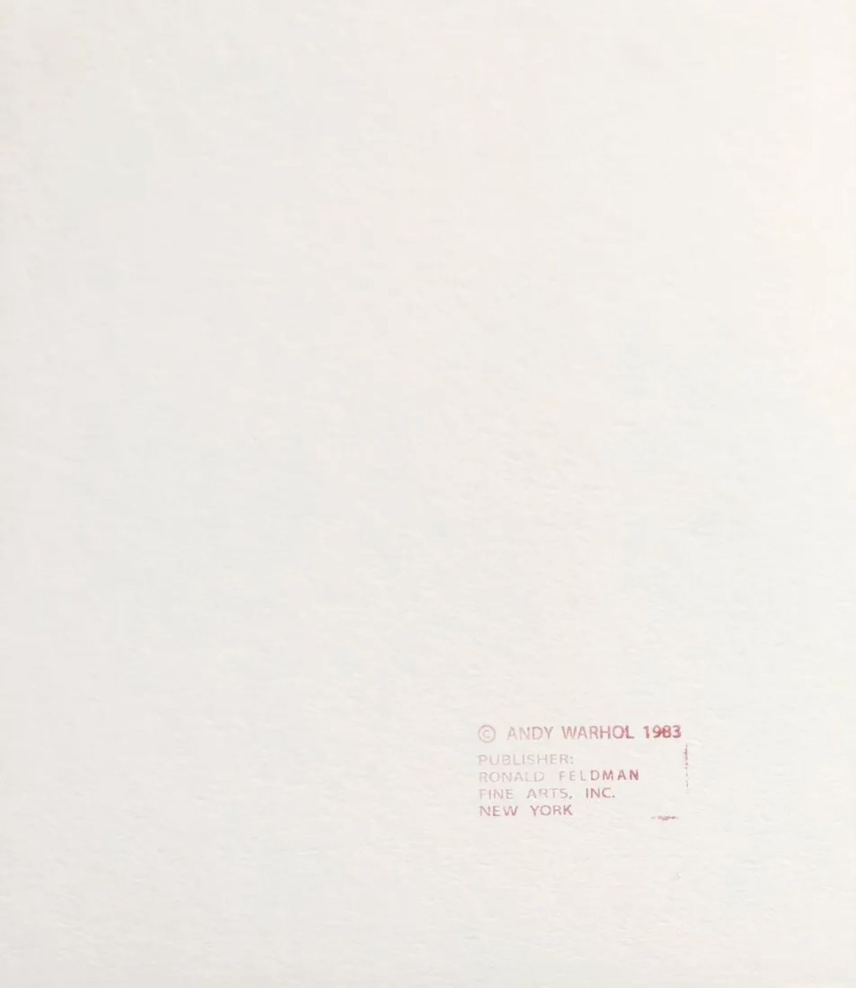 After Andy Warhol Pine Barrens Frog Screenprint (w/stamp) - Bild 11 aus 11