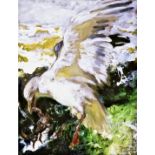 Jamie Wyeth "Peeky Toe, 2011" Offset Lithograph